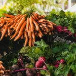 In Defense of Veganism