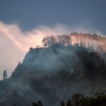 Jeff Bezos, Please Save the Amazon Rainforest!