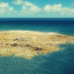 The Monumental Effort To Rid The World’s Oceans From Plastic ︱VICE on HBO